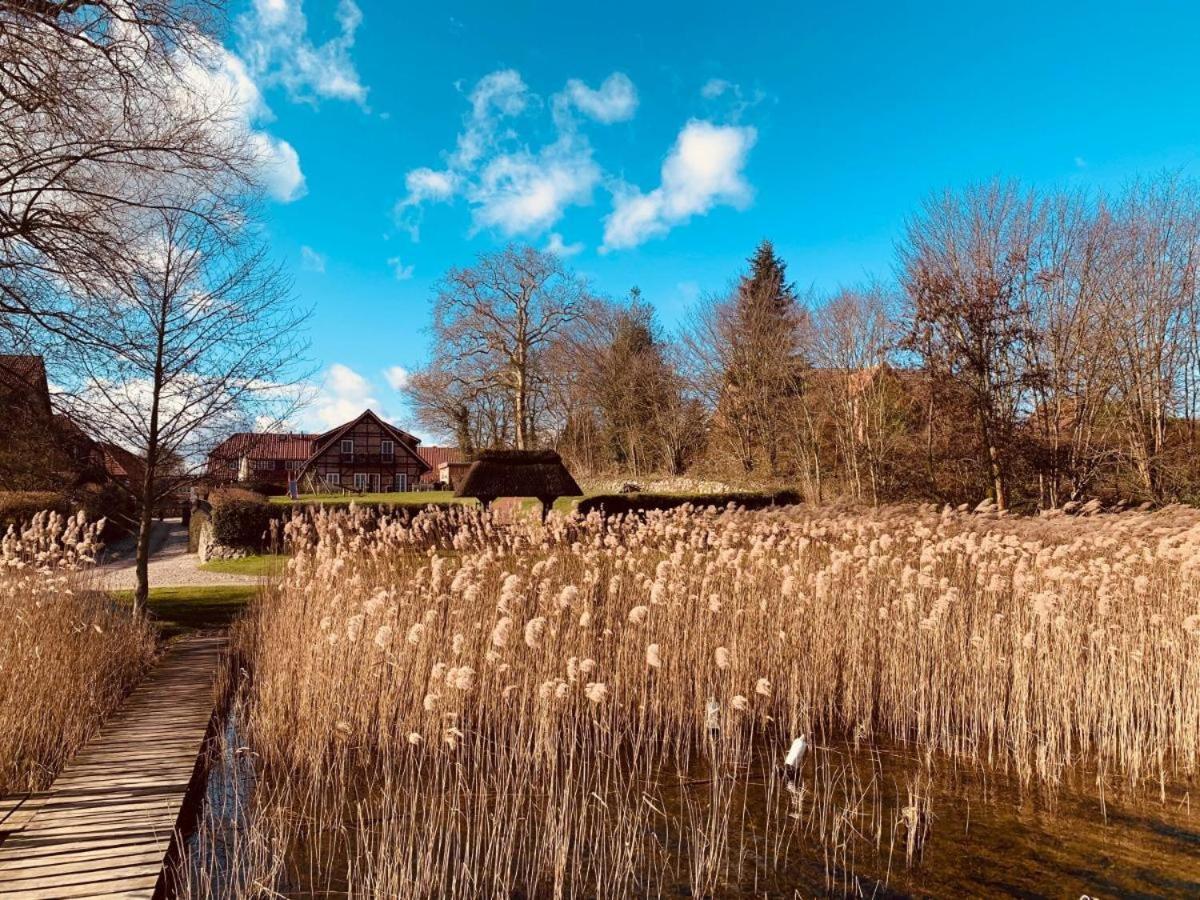 Seehotel Zarrentin Zarrentin am Schaalsee Exteriör bild